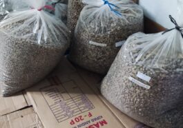 Kopi Logawa Banyumas Kopi Kiloan Terdekat – Produk UMKM Kopi Lokal Banyumas