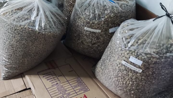 Kopi Logawa Banyumas Kopi Kiloan Terdekat – Produk UMKM Kopi Lokal Banyumas